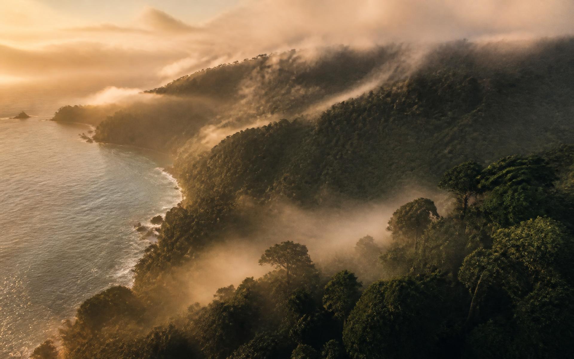 Mist drifting over rainforest ridges above the Costa Rican Pacific coast at sunrise